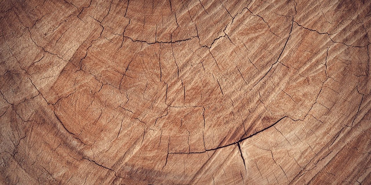 Hout