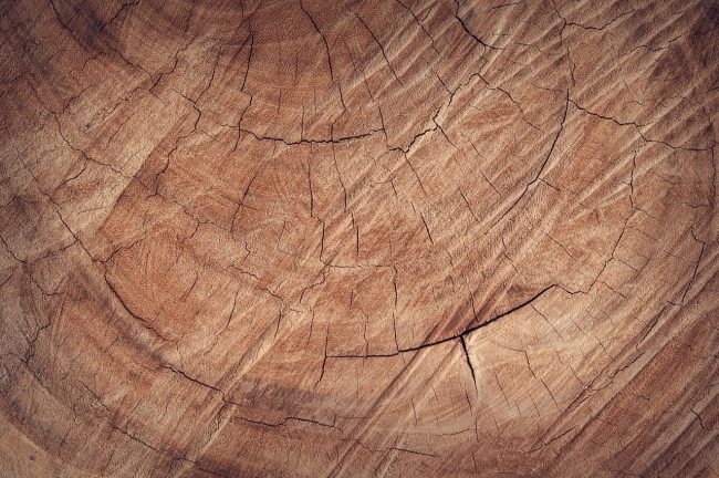 Hout