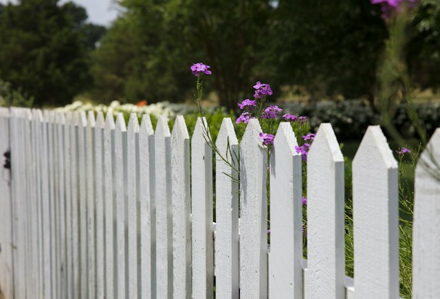 houten hek tuin hekken van hekkenwereld houten hek tuin hekken van hekkenwereld