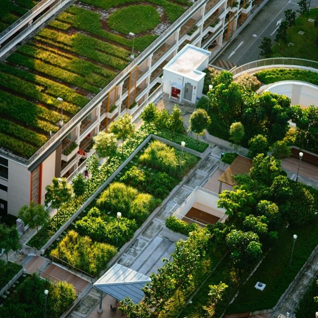 Groene-daken-op-appartementencomplex-1 Groene daken op meerdere gebouwen met weelderige begroeiing, die bijdragen aan duurzaamheid en stedelijke biodiversiteit