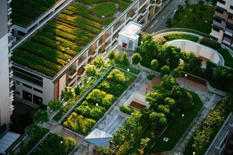 Groene daken op meerdere gebouwen met weelderige begroeiing, die bijdragen aan duurzaamheid en stedelijke biodiversiteit